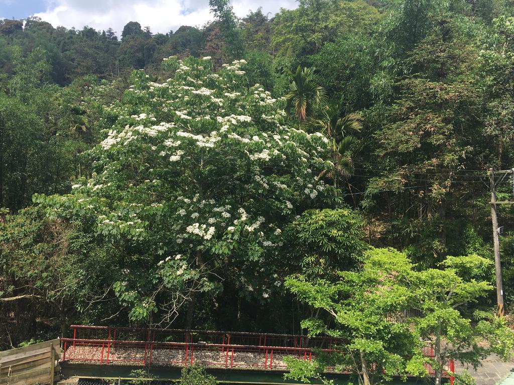 Dingdai Cherry Blossoms Resort Nantou Exterior foto